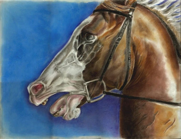 Cabeza caballo Pastel Cartulina Animales