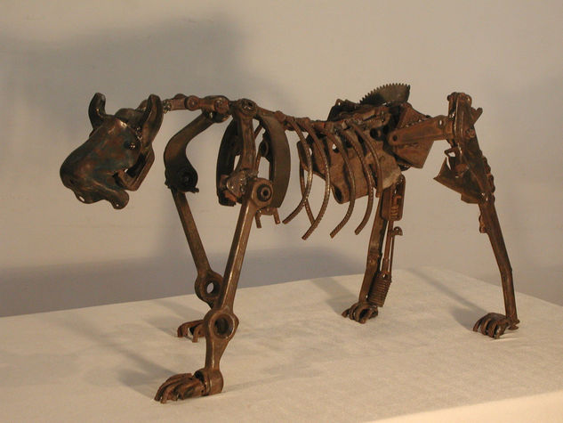 perro 