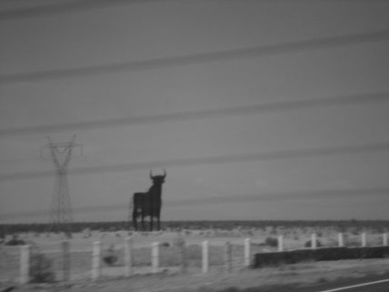 Torito