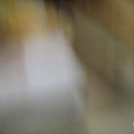 Fotografia thumbnail 1