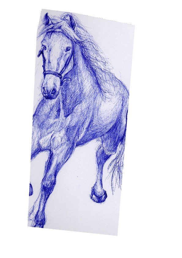 caballo corriendo