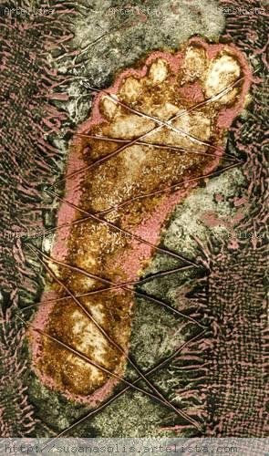 S/T.