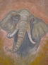 Elefante