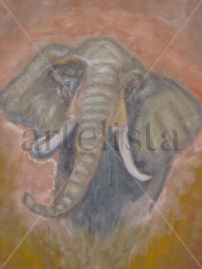 Elefante Oil Canvas Animals