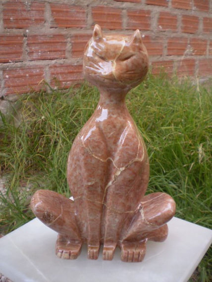 Gato noble