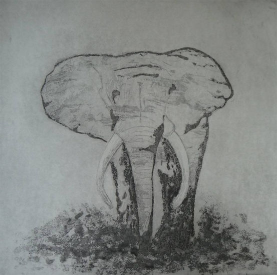 Olifant Aguafuerte