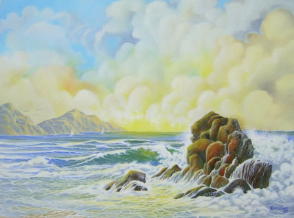 Praia selvagem