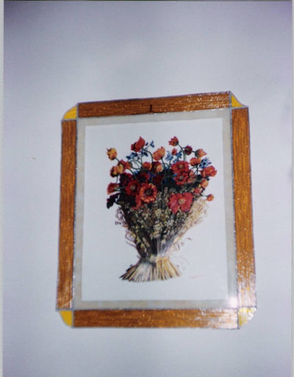 "trigo y amapolas"