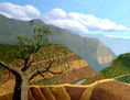MIRADOR DE EL CHICAMOCHA