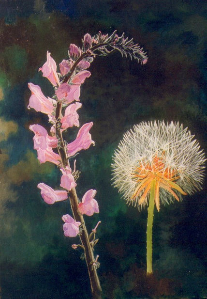 Flores