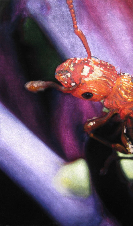 Hymenoptera #2