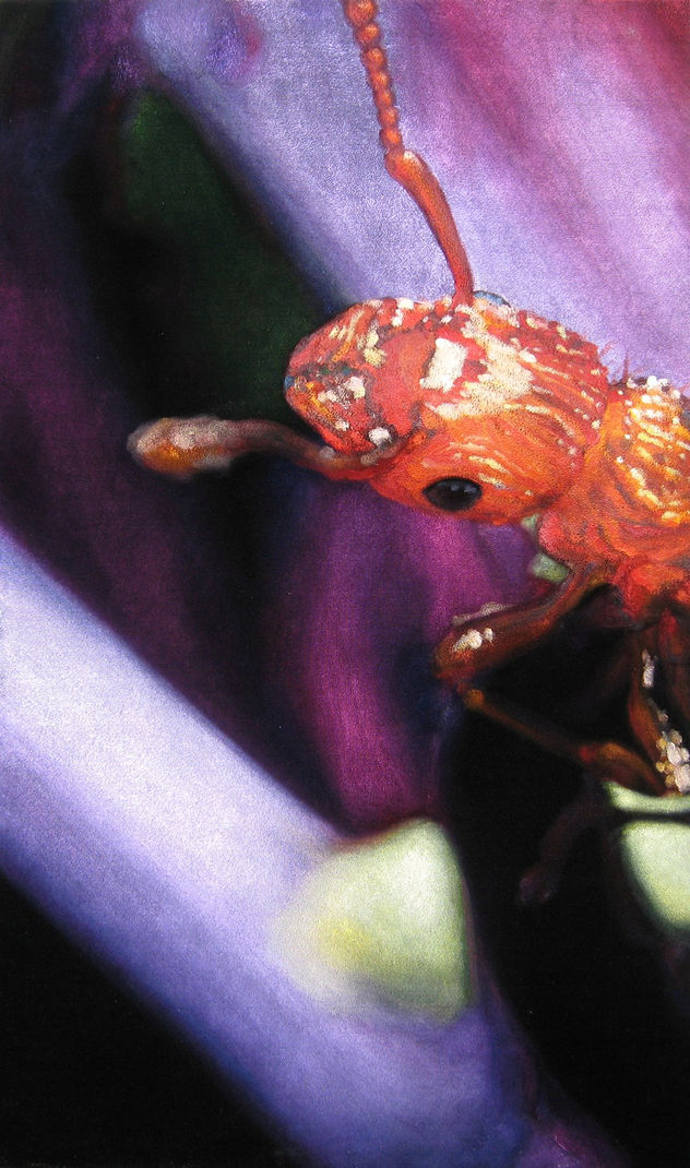 Hymenoptera #2