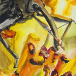 Entomología thumbnail 2