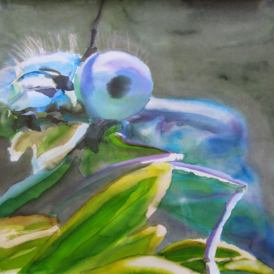 Odonata #13 Watercolour Paper Animals