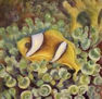 Trilogía del mar II