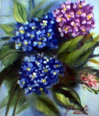 HORTENSIAS