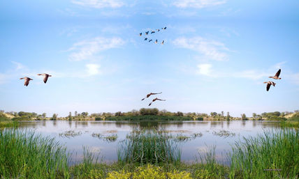 Laguna verde.