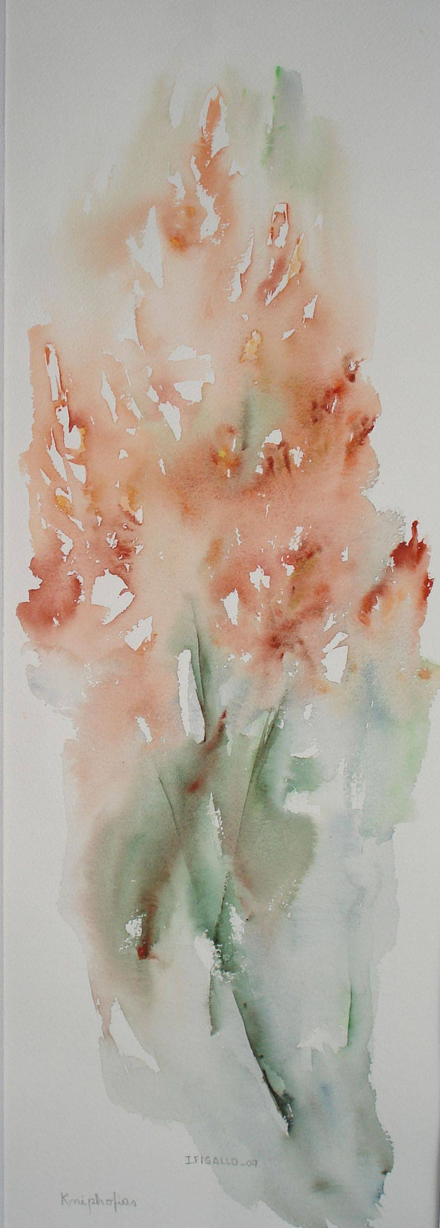 KNIPHOFIAS