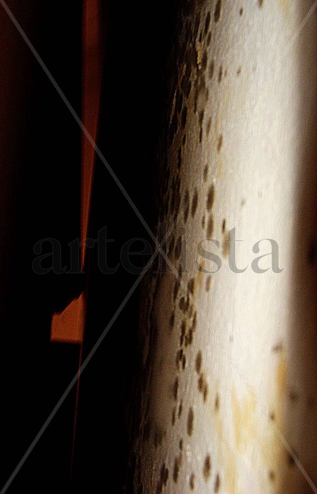 Pared