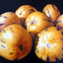pepinos