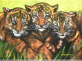 TRES TRISTES TIGRES