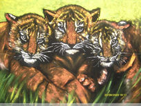 Tres tristes tigres