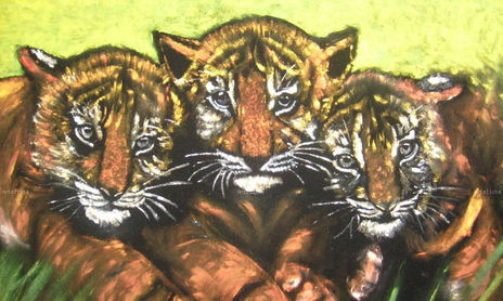 ANIMALES