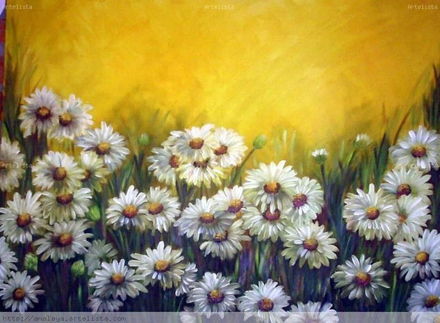 Jardín de Margaritas Oil Canvas Floral Painting