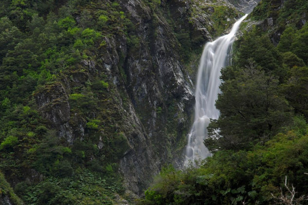 Cascada entrebosque 