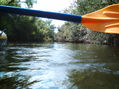 En bote