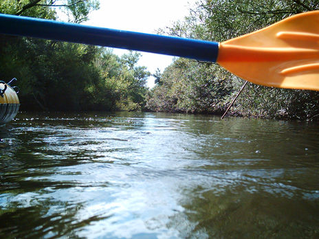 En bote