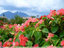 Cerro de la silla