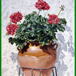 Flores thumbnail 1