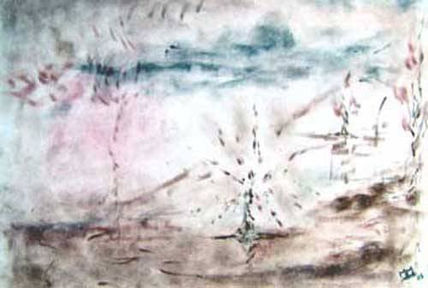 Vulcani