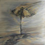 El viento y la arena (2009)