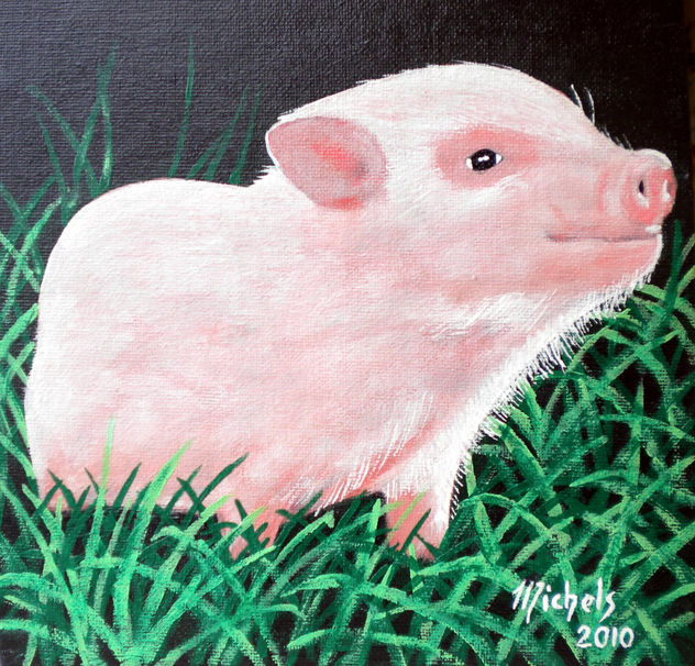 Hängebauch-Ferkel