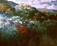 FLORS BLANCAS