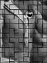 TORSOS