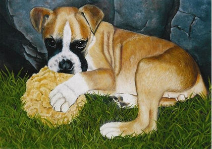 Puppy Love -...