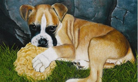Pinturas al Oleo - Oil Paintings