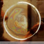REFLEJOS thumbnail 1