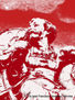 Soldado rojo (serie roja)