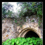 Naturaleza thumbnail 1
