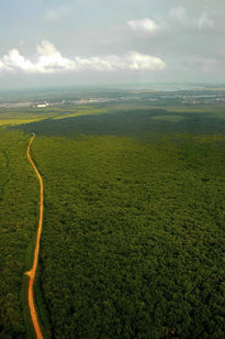 Brecha Tuxpan,...