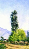 PAISAJE_VEREDA_DE_TABIO Oil Canvas Landscaping