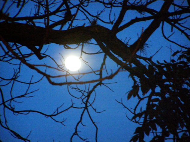 lunaticos de luna llena 