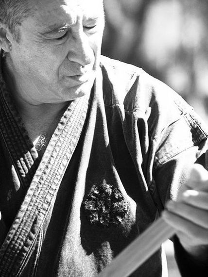 Bujinkan Dojo
