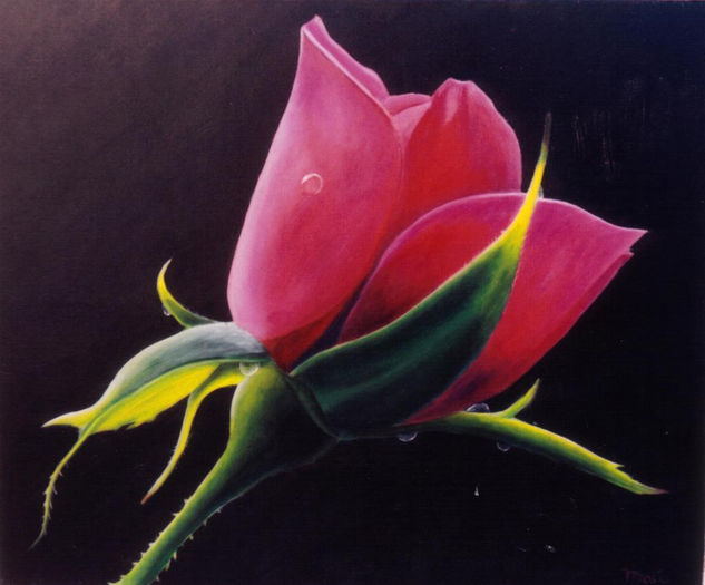 UNA ROSA Oil Canvas