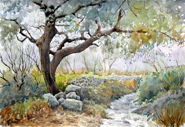 CANGAS DE MORRAZO (Pontevedra) Watercolour Paper Landscaping