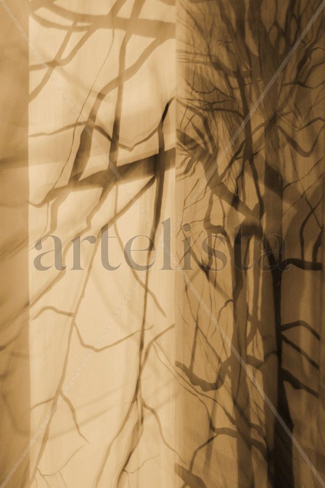 Arboles